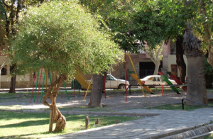 Hallazgo en una plaza de Capital: lo que encontraron podría contar parte de la historia de San Juan