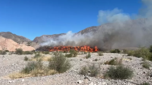 Fuego y humo en la planta ambiental: trabajan sin pausa para controlarlo