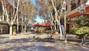 Dos días sin colectivos y ventas a la mitad: el golpe que sufrió el comercio
